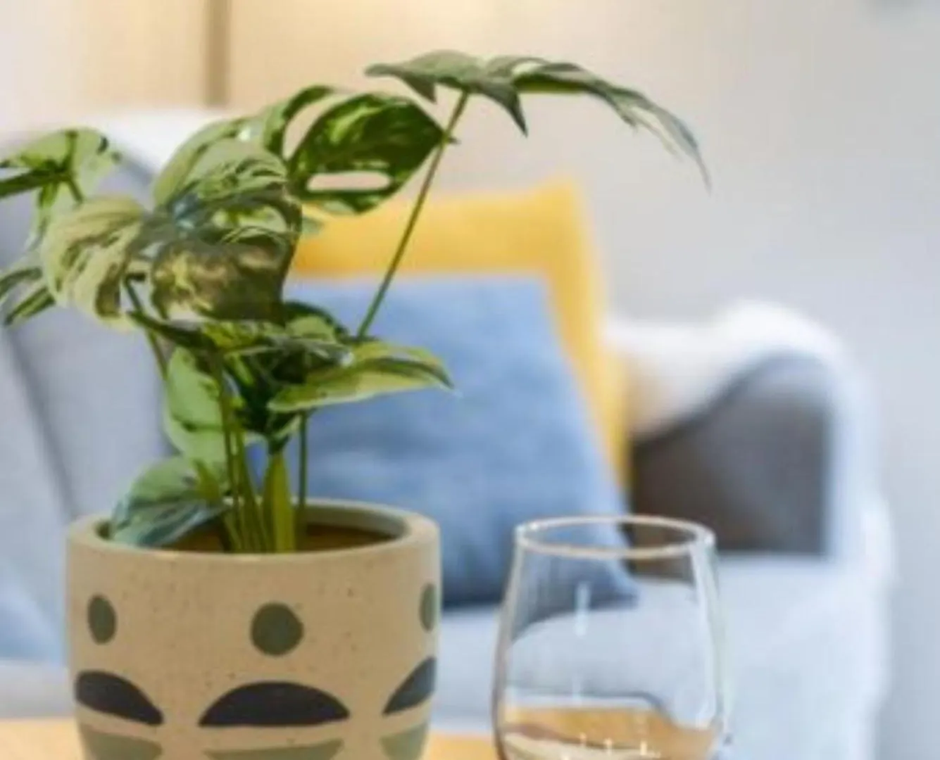 Apartment Central City-Urban Oasis 1 Bed 1 Bath W/Sofa Bed Christchurch